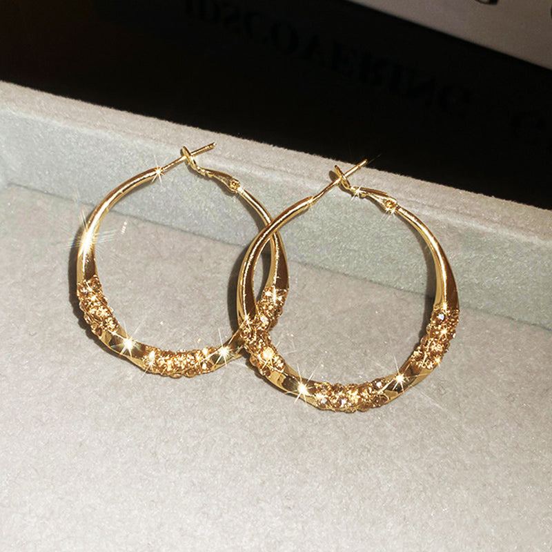 🌸🌸🌸Der Vorverkauf läuft!!! Wer zuerst kauft, bekommt zuerst!!!Circle Earrings with Zirconia