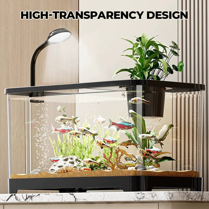 Kleines Aquarium für Zuhause