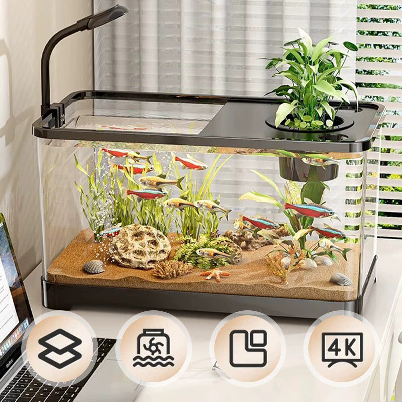 Kleines Aquarium für Zuhause