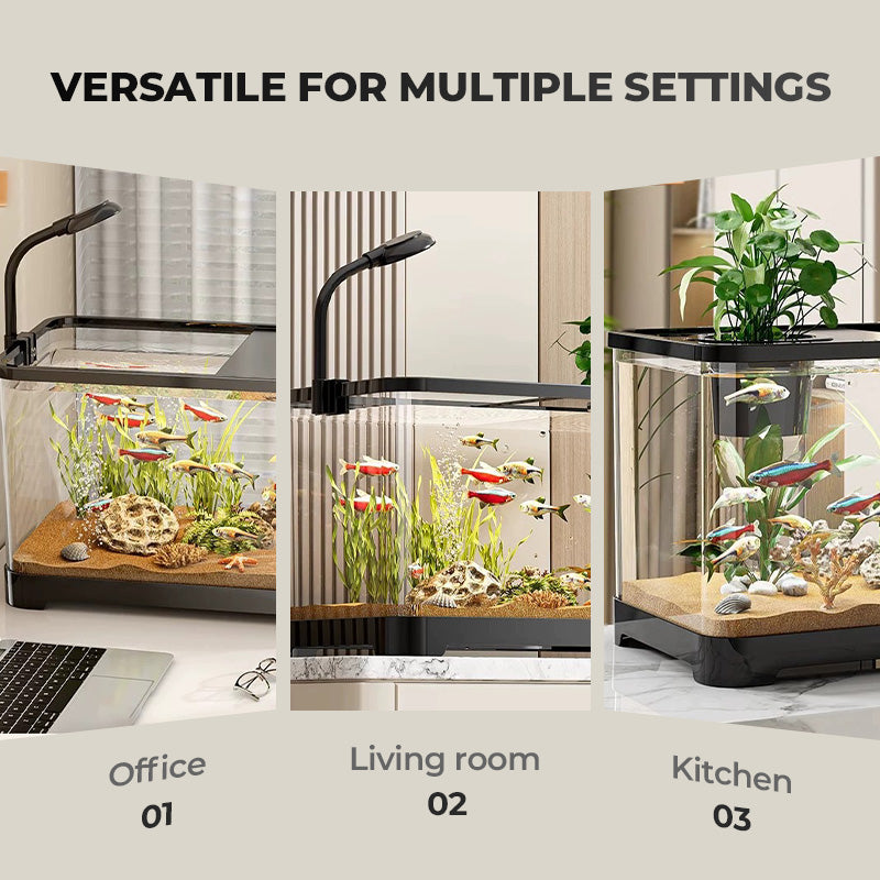Kleines Aquarium für Zuhause