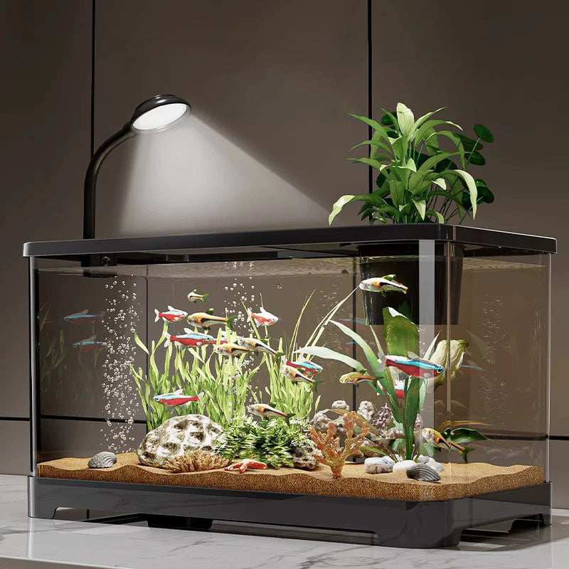 Kleines Aquarium für Zuhause