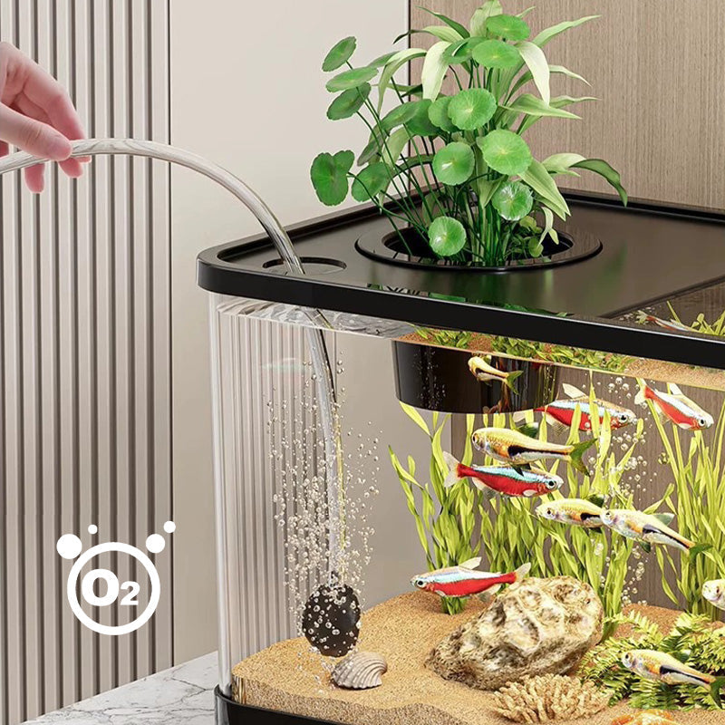 Kleines Aquarium für Zuhause