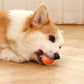 🔥 -50% Heute 🐶🎾 Intelligenter Interaktiver Hüpfball für Haustiere