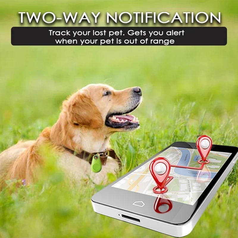 ✨Heißer Verkauf 50% RABATT🐶Bluetooth und GPS Kabelloser Haustier-Tracker