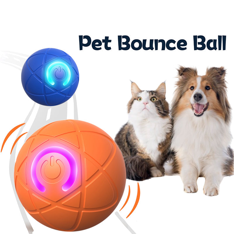 🔥 -50% Heute 🐶🎾 Intelligenter Interaktiver Hüpfball für Haustiere