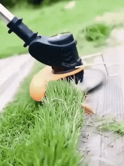 🔥 Heiße Rabatte 2026  💦 1500 W tragbarer Rasenmäher