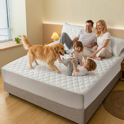 🛏️ 60 % RABATT! 🛡️ Set aus wasserdichtem Matratzenbezug und Kissenbezügen – Milbenabweisend, weich im Griff und leicht zu waschen ✨