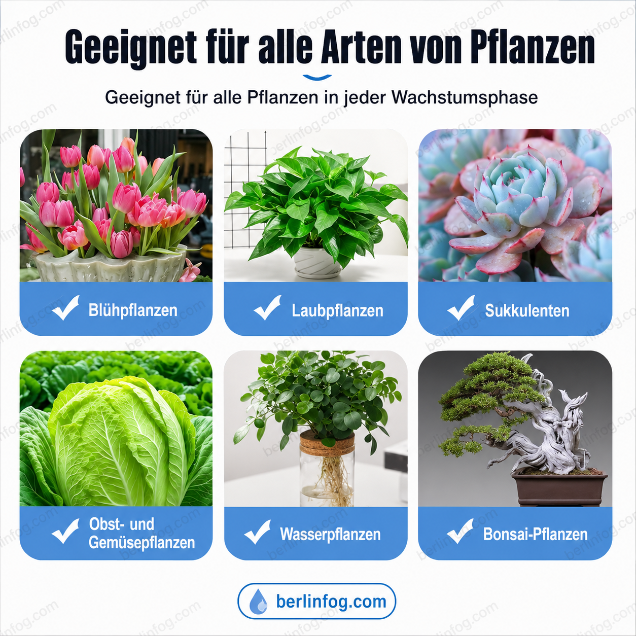 【Auch trockene Bäume können austreiben】 Schnell wirkender, regenerierender, wasserlöslicher Blütenhefedünger
