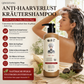 🌿 Qiweitang Anti-Haarausfall-Pflegeshampoo