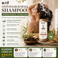 🌿 Qiweitang Anti-Haarausfall-Pflegeshampoo