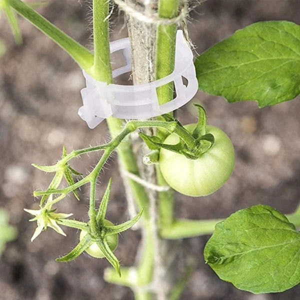Pflanzenclips für Rankpflanzen – Tomatenhalter & Pflanzenbinder aus Kunststoff🌱🍅