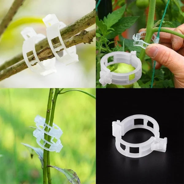 Pflanzenclips für Rankpflanzen – Tomatenhalter & Pflanzenbinder aus Kunststoff🌱🍅