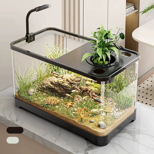 Kleines Aquarium für Zuhause