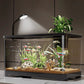 Kleines Aquarium für Zuhause