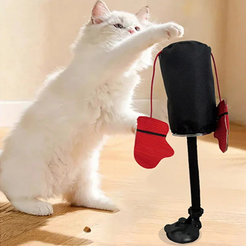 🔥Interaktives Katzenspielzeug zum Schlagen🥊