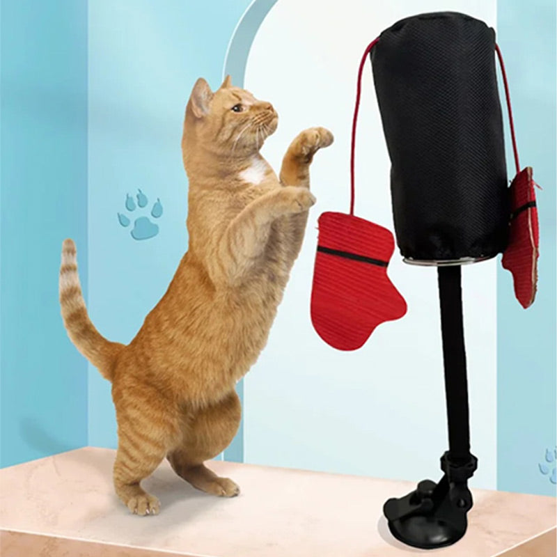 🔥Interaktives Katzenspielzeug zum Schlagen🥊