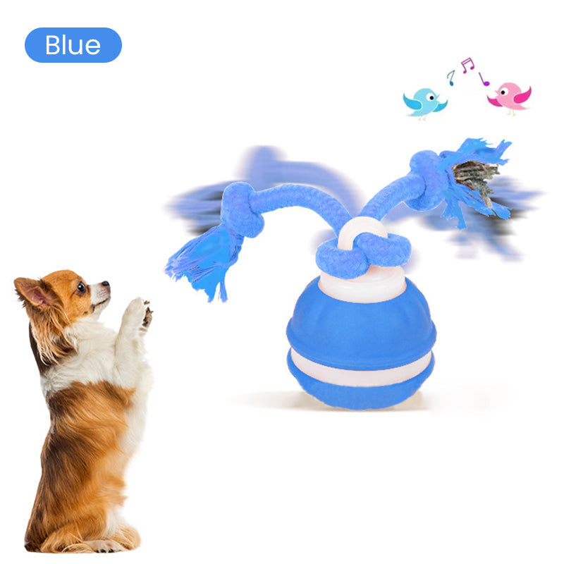Interaktiver rollender Katzenball mit Vogelstimmen