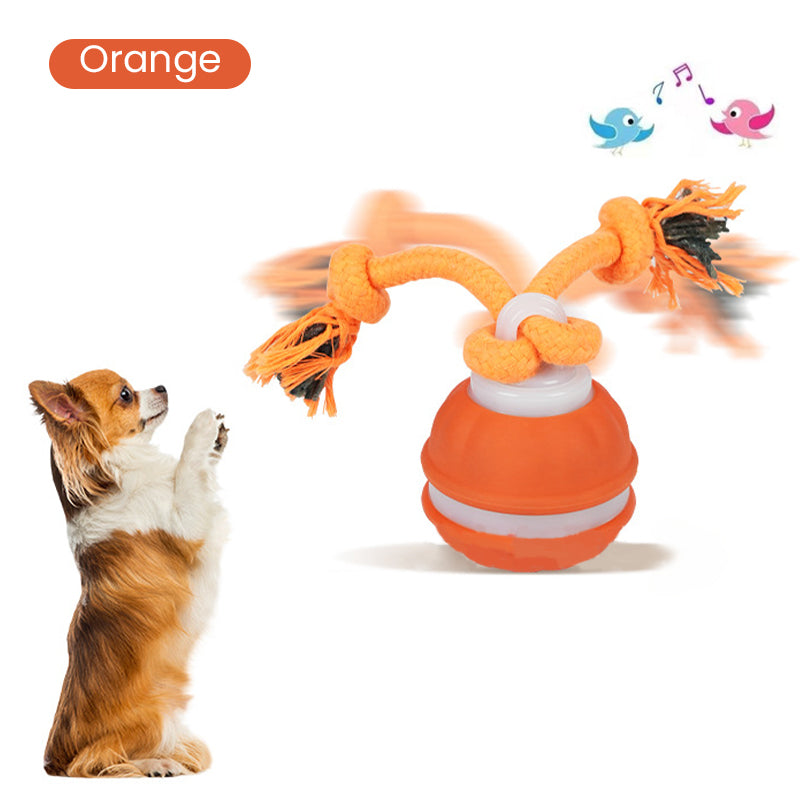 🐱🎉 50% RABATT! Interaktiver rollender Katzenball mit Vogelstimmen – Bewegt sich selbstständig & lockt mit realistischen Vogelgeräuschen – Perfekt für aktive Spielstunden 🐦✨