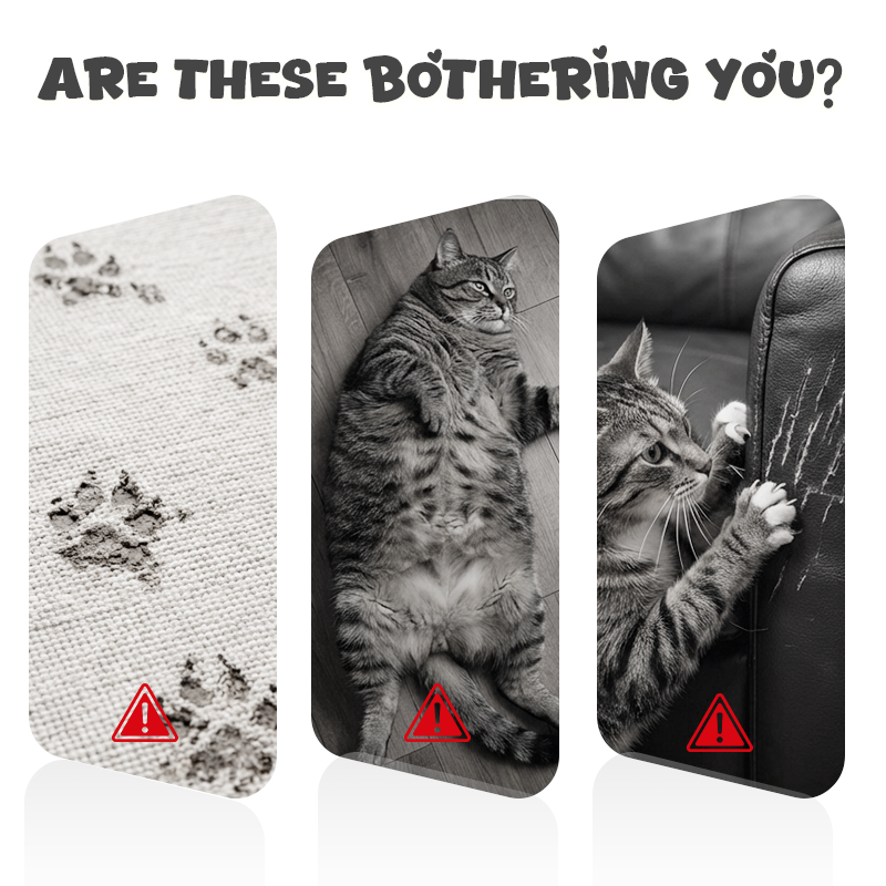 Interaktives Fernbedienungsspielzeug zum Aufhängen für Katzen