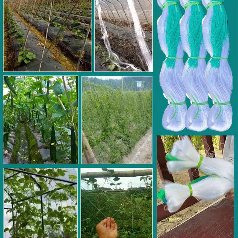 Garten Spalier Netting Pflanze Kletternetz