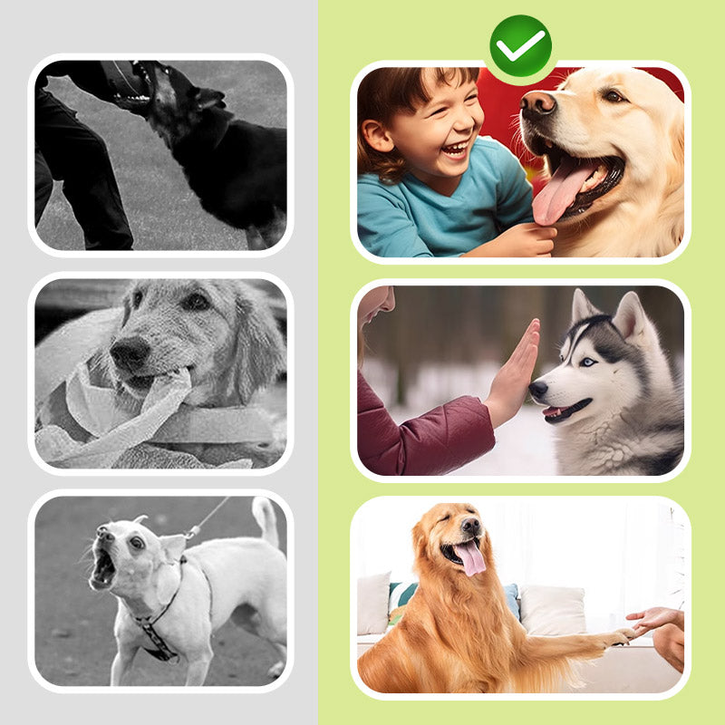 🌠 Leiser Begleiter: 🐶 Ultraschall-Hundeabwehrgerät für einfaches Bellen!