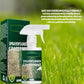 🔥Letzter Tag im Angebot: 49 % Rabatt!🔥Pousbo® Grasgrün-Farbspray🌿