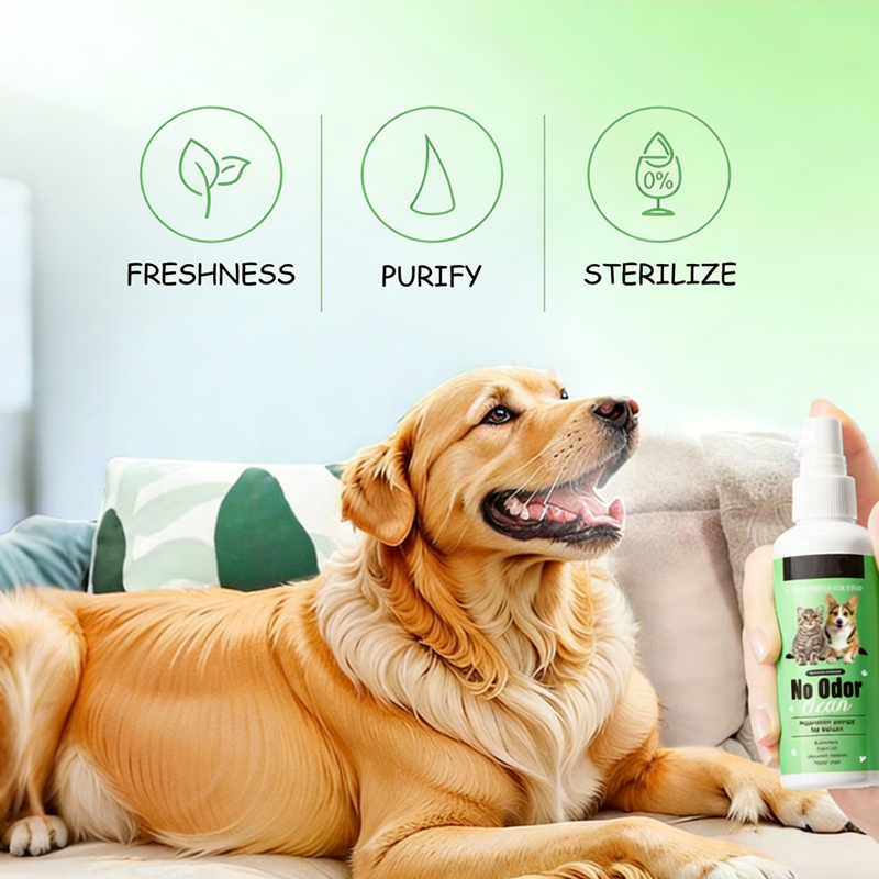 Mundpflegespray für Hunde und Katzen
