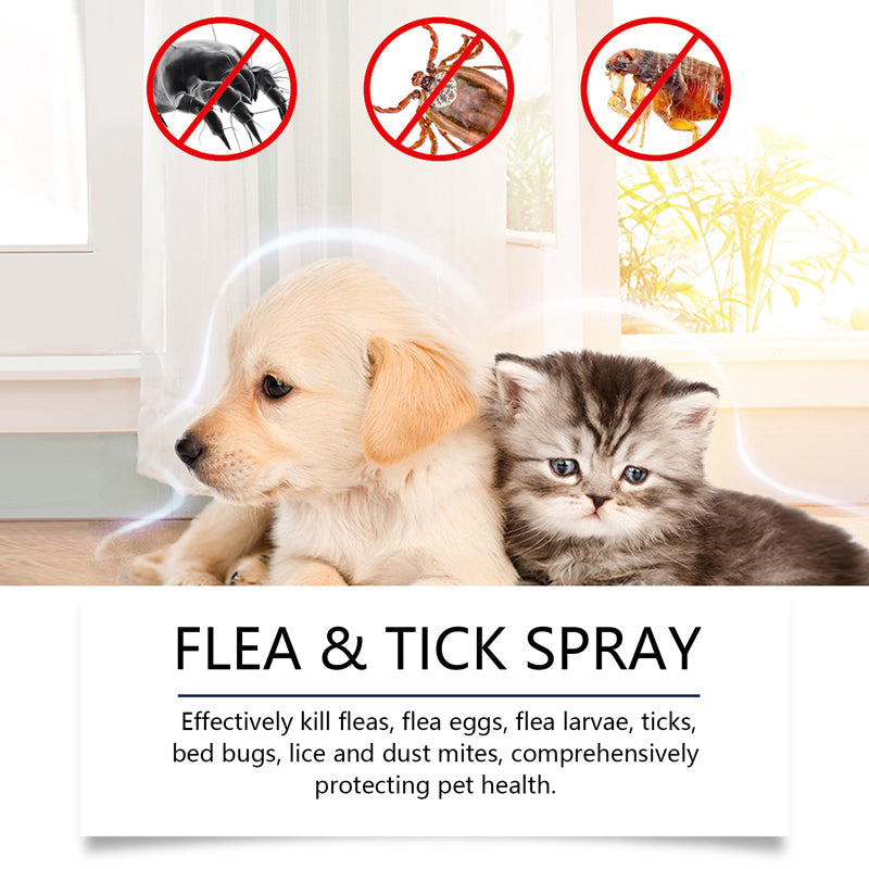 🍃Natürliches Floh- und Zeckenspray für Hunde und Katzen🐾 Schützen Sie Ihr geliebtes Haustier vor Schädlingen
