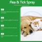 🍃Natürliches Floh- und Zeckenspray für Hunde und Katzen🐾 Schützen Sie Ihr geliebtes Haustier vor Schädlingen
