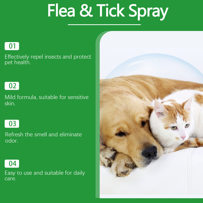 🍃Natürliches Floh- und Zeckenspray für Hunde und Katzen🐾 Schützen Sie Ihr geliebtes Haustier vor Schädlingen