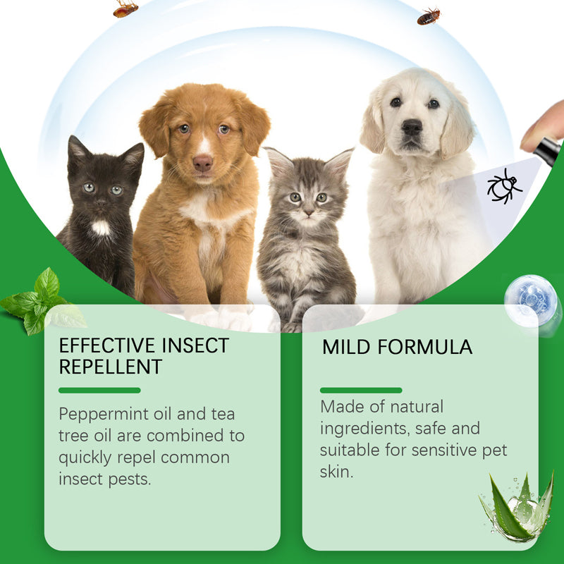 🍃Natürliches Floh- und Zeckenspray für Hunde und Katzen🐾 Schützen Sie Ihr geliebtes Haustier vor Schädlingen