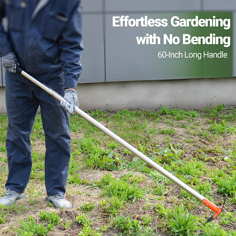2-in-1 Gartenhacke und Rechen mit langem Stiel