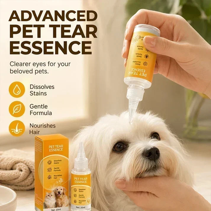 🐶 Jetzt 50 % sparen! ✨ Sanfte Augenpflege für Haustiere – Augenbereich reinigen & Fell pflegen 👀