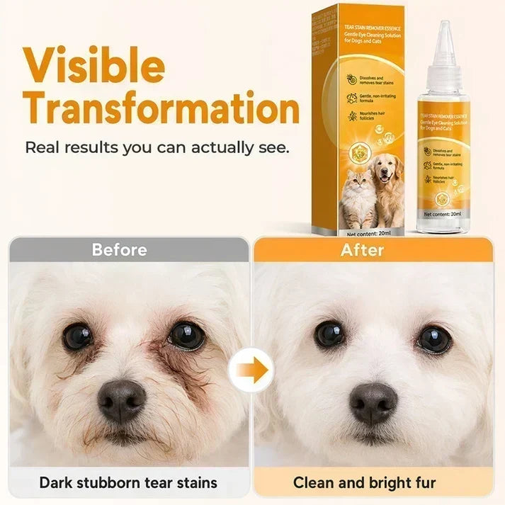 🐶 Jetzt 50 % sparen! ✨ Sanfte Augenpflege für Haustiere – Augenbereich reinigen & Fell pflegen 👀