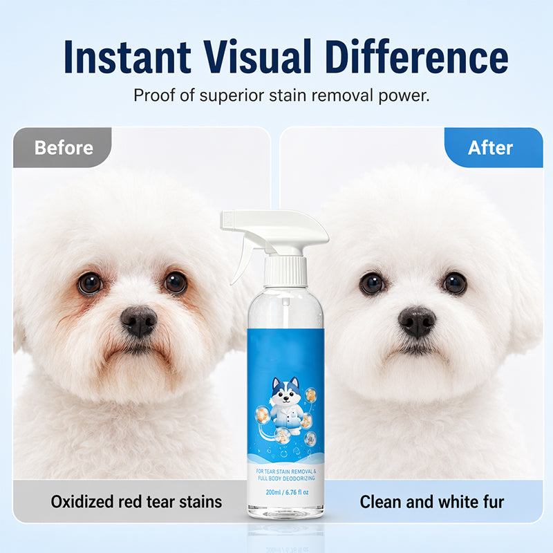 Reinigungsspray für Haustiere ohne Abspülen – Flecken- und Geruchsentferner für Hunde und Katzen, 500 ml
