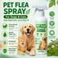Flohspray auf pflanzlicher Basis für Haustiere