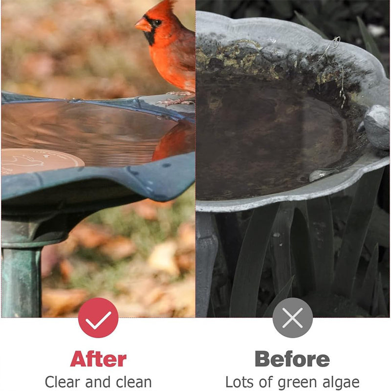 Natürlicher Algenhemmer für Vogeltränken und Springbrunnen