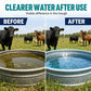 🚜💧 Algen & Schleim im Tränkwasser? – Schnellauflösende Reinigungstabletten für Viehtränken – sauberes Wasser ohne Schrubben, einfach hineingeben 🐄✨