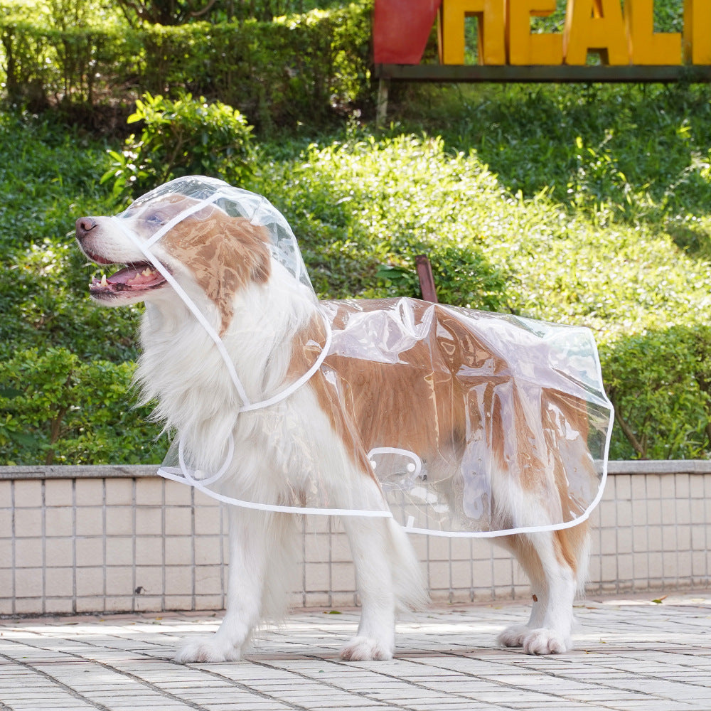 Transparenter Regenmantel für Hunde