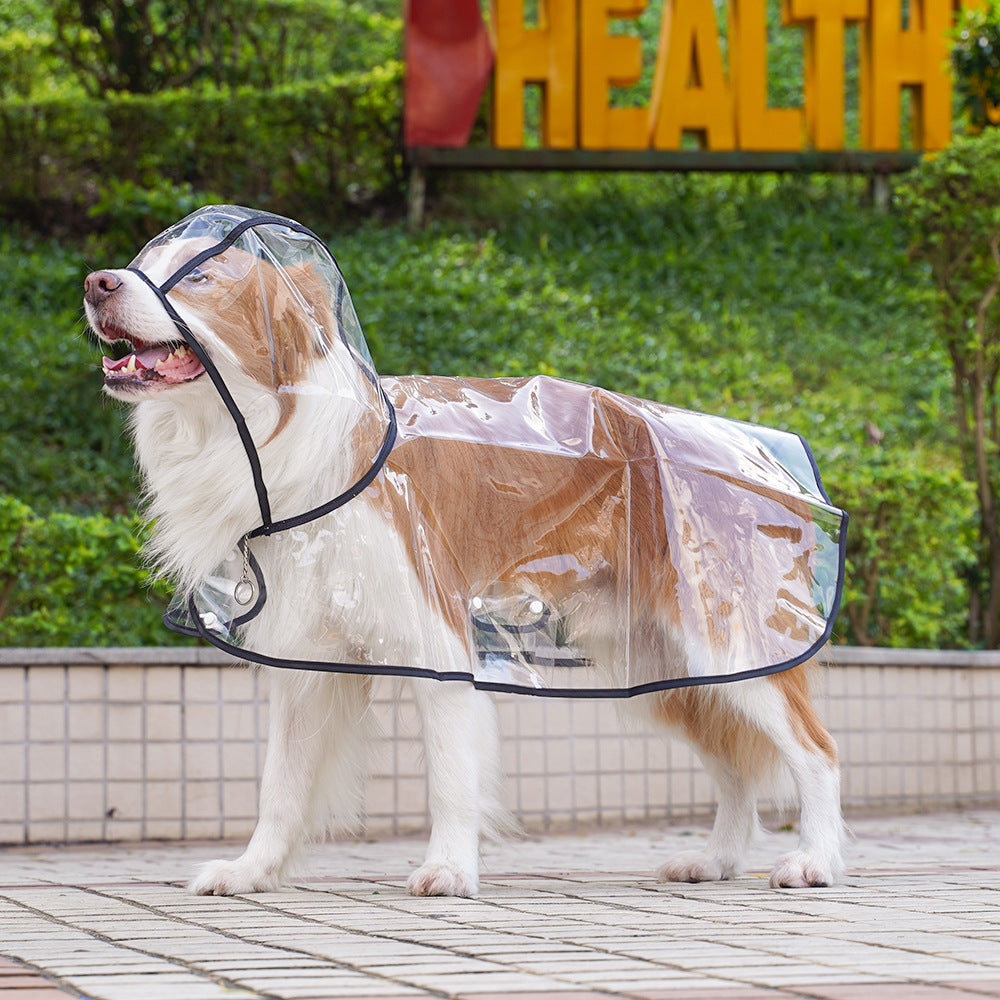 Transparenter Regenmantel für Hunde