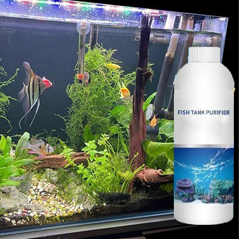 Sichere und effektive Wasseraufbereitung für Aquarien